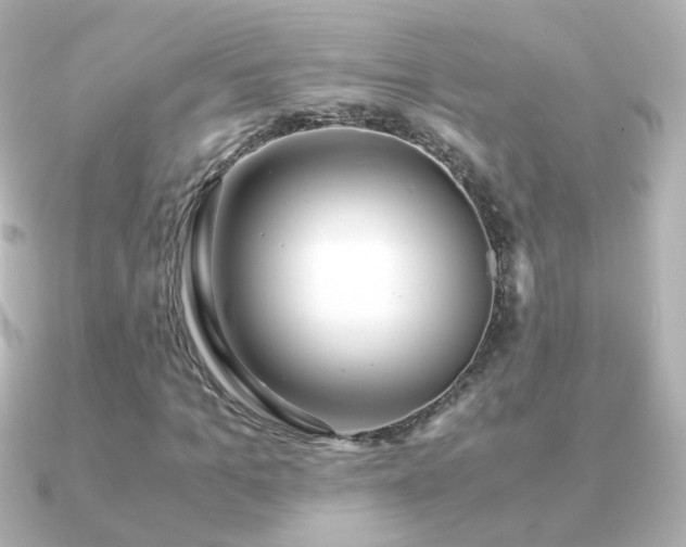 X0000091240965200708091432