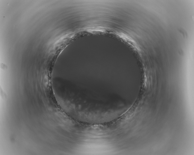 X0000091240966200708091432