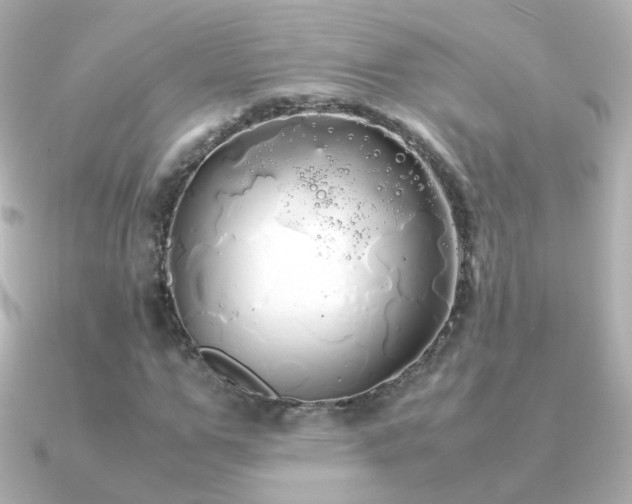 X0000091240967200708091432