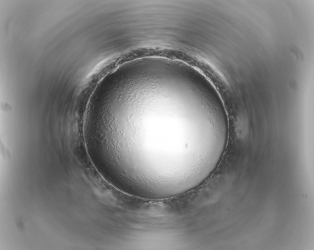 X0000091240968200708091432