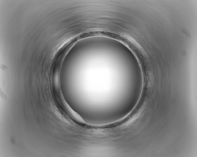 X0000091240969200708091432