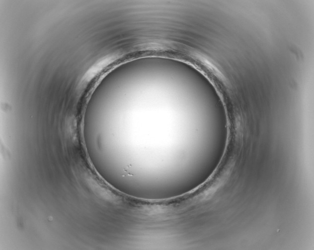 X0000091240970200708091432