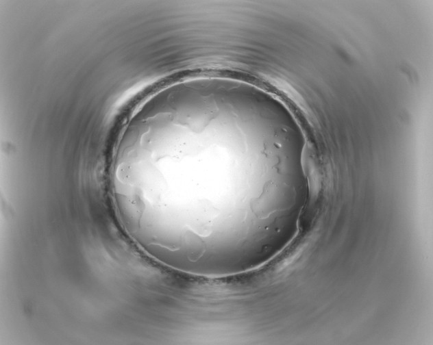 X0000091240971200708091432