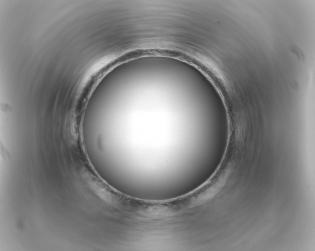 X0000091240974200708091432