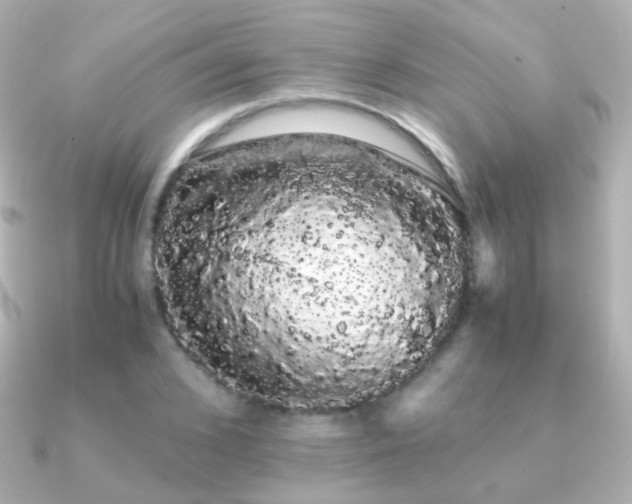 X0000091240976200708091432