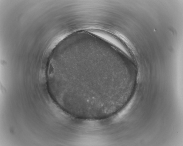 X0000091240977200708091432