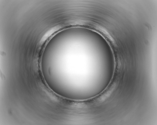 X0000091240978200708091432