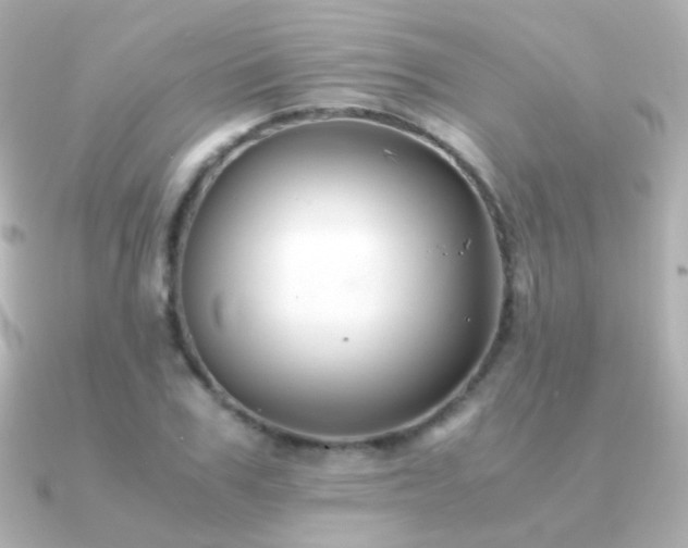 X0000091240979200708091432