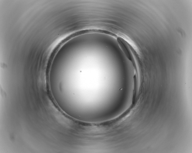 X0000091240980200708091432