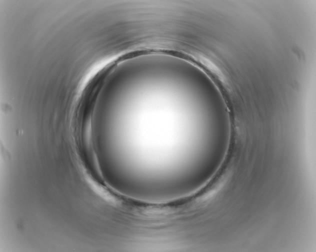 X0000091240981200708091432