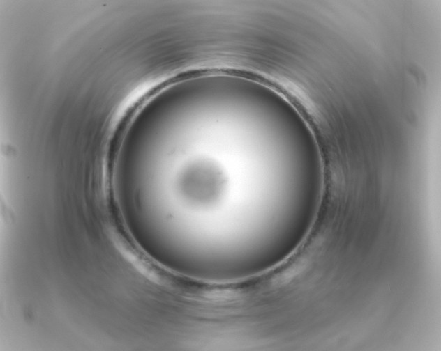 X0000091240982200708091432