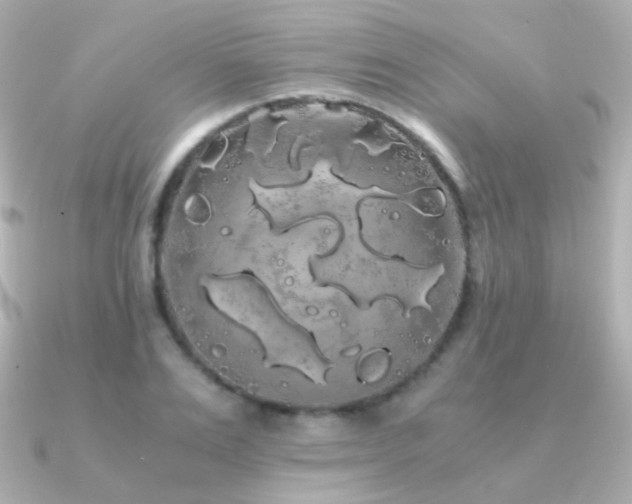 X0000091240983200708091432