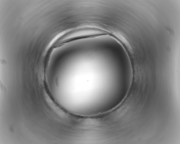 X0000091240984200708091432