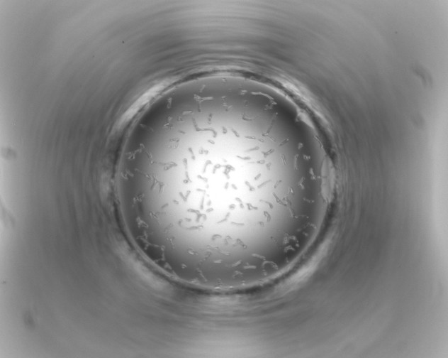 X0000091240985200708091432