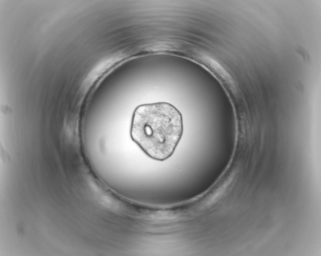 X0000091240986200708091432