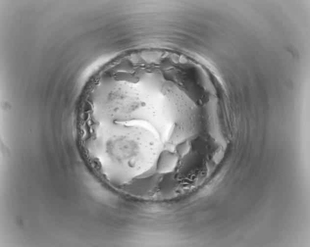 X0000091240987200708091432