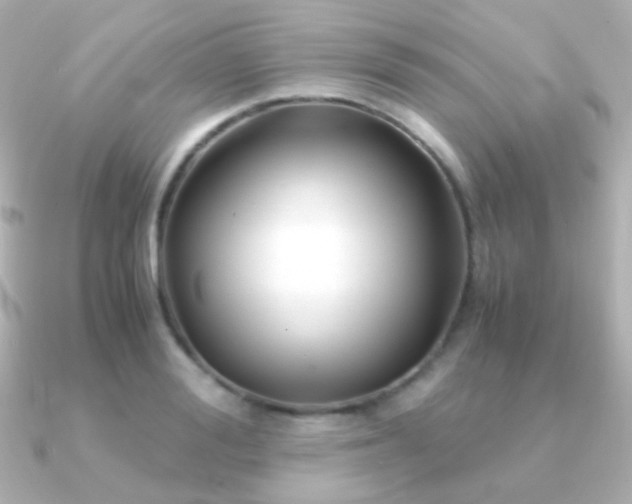X0000091240988200708091432