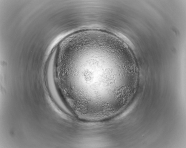 X0000091240989200708091432