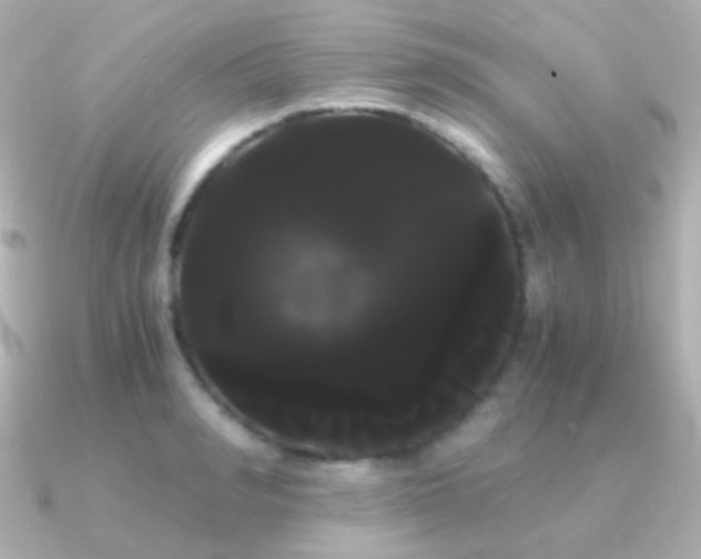 X0000091240990200708091432