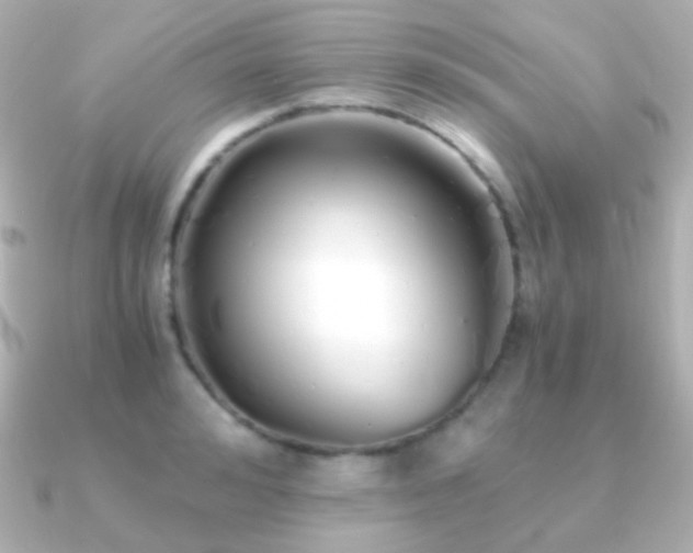 X0000091240992200708091432