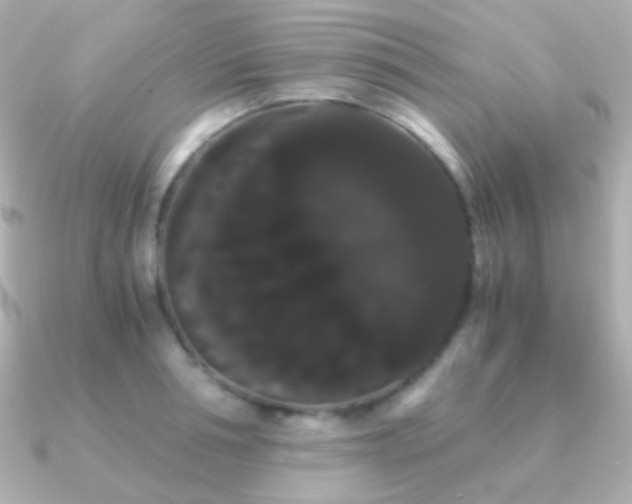 X0000091240994200708091432