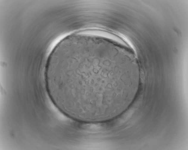 X0000091240995200708091432