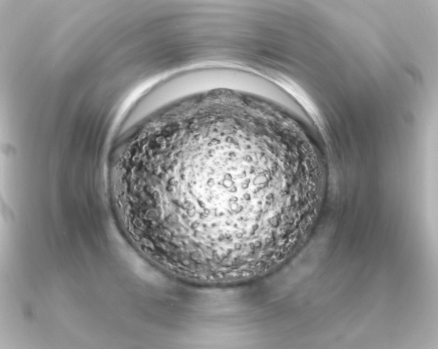 X0000091240996200708091432