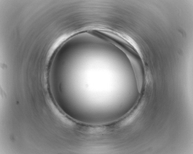 X0000091240997200708091432