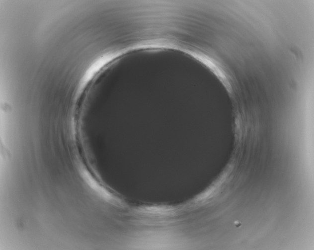 X0000091240998200708091432