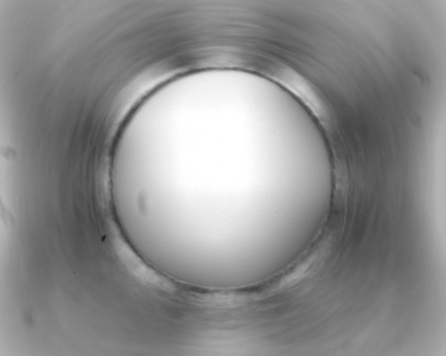 X0000091241000200708091432
