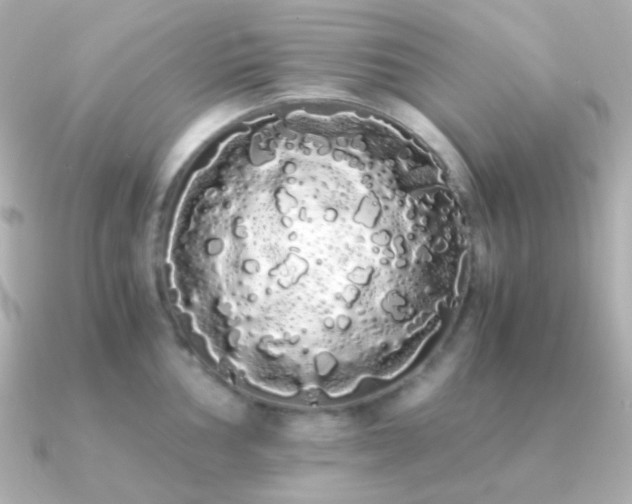 X0000091241002200708091432