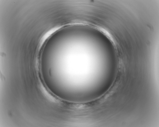 X0000091241003200708091432