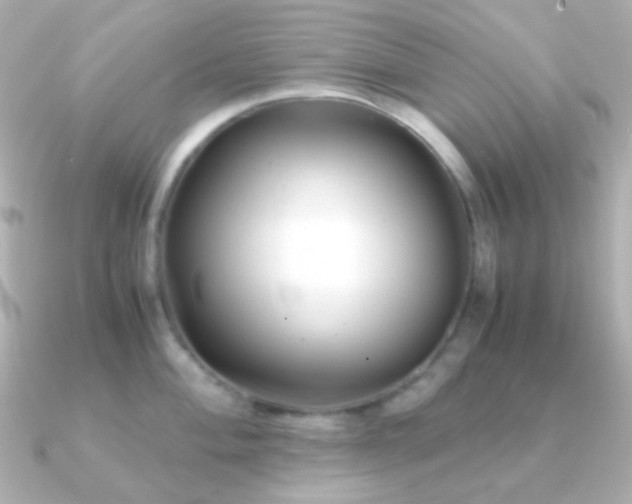X0000091241004200708091432