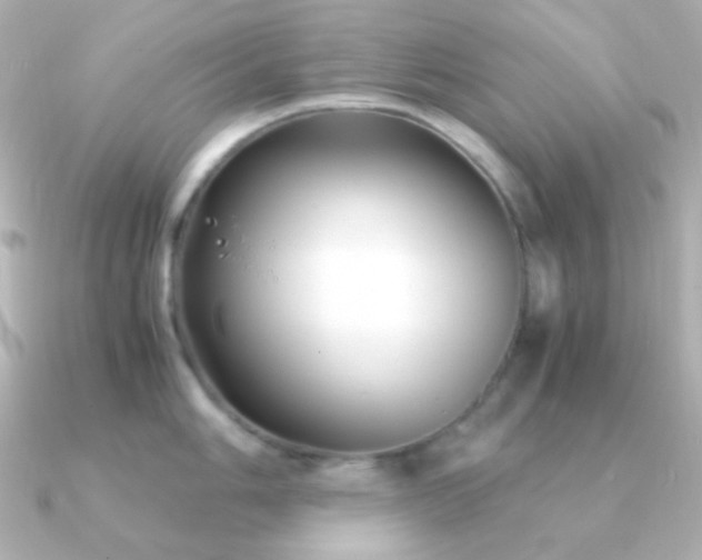 X0000091241006200708091432