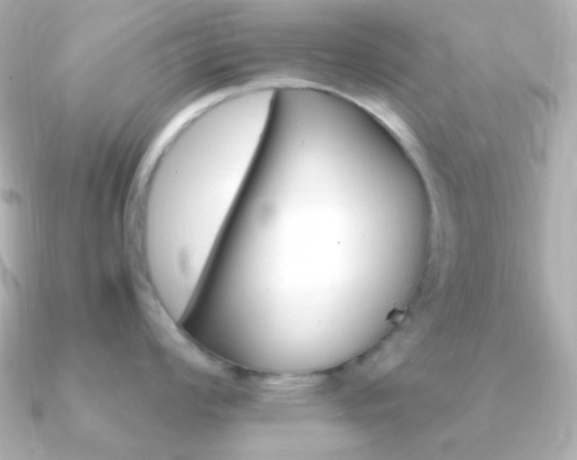 X0000091241008200708091432