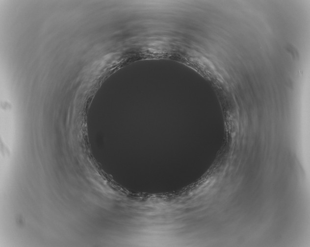 X0000091241009200708091431