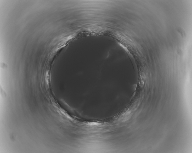 X0000091241010200708091431