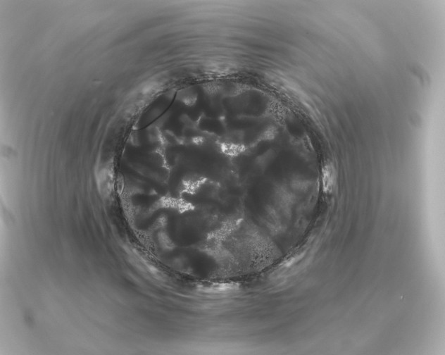 X0000091241011200708091431