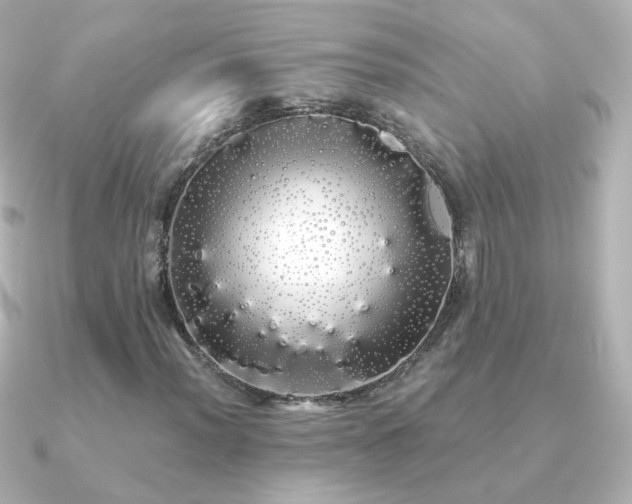 X0000091241012200708091431