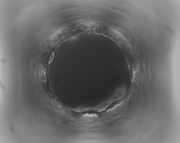 X0000091241013200708091431