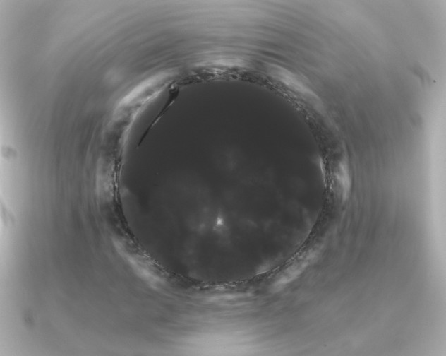 X0000091241014200708091431