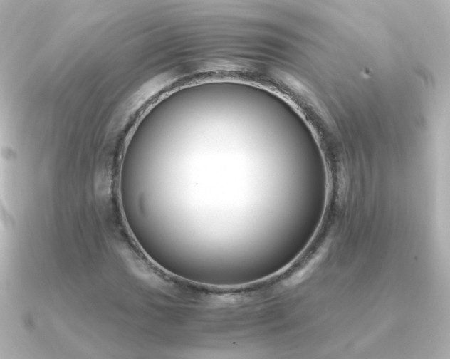 X0000091241017200708091431