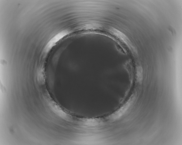X0000091241018200708091431