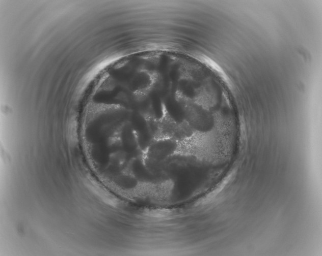 X0000091241019200708091431