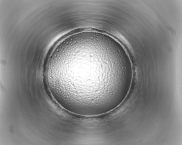 X0000091241020200708091431