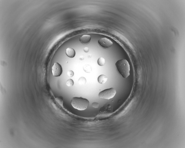 X0000091241021200708091431
