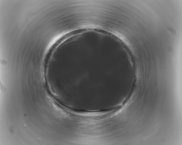 X0000091241022200708091431
