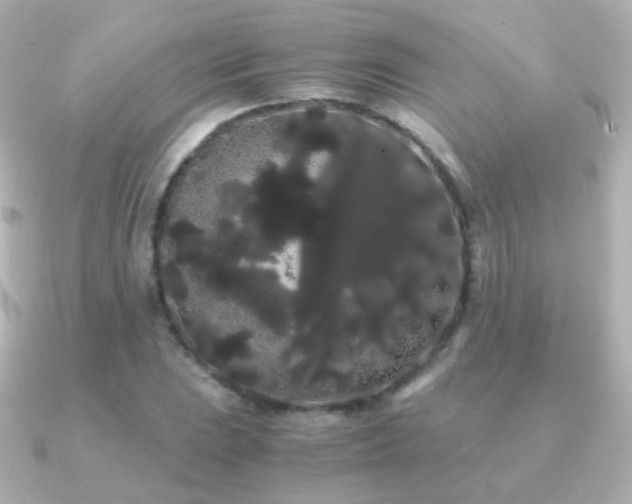 X0000091241023200708091431