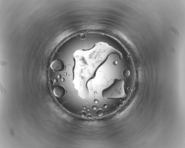 X0000091241025200708091432