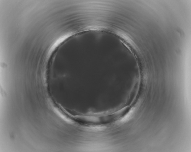 X0000091241026200708091432
